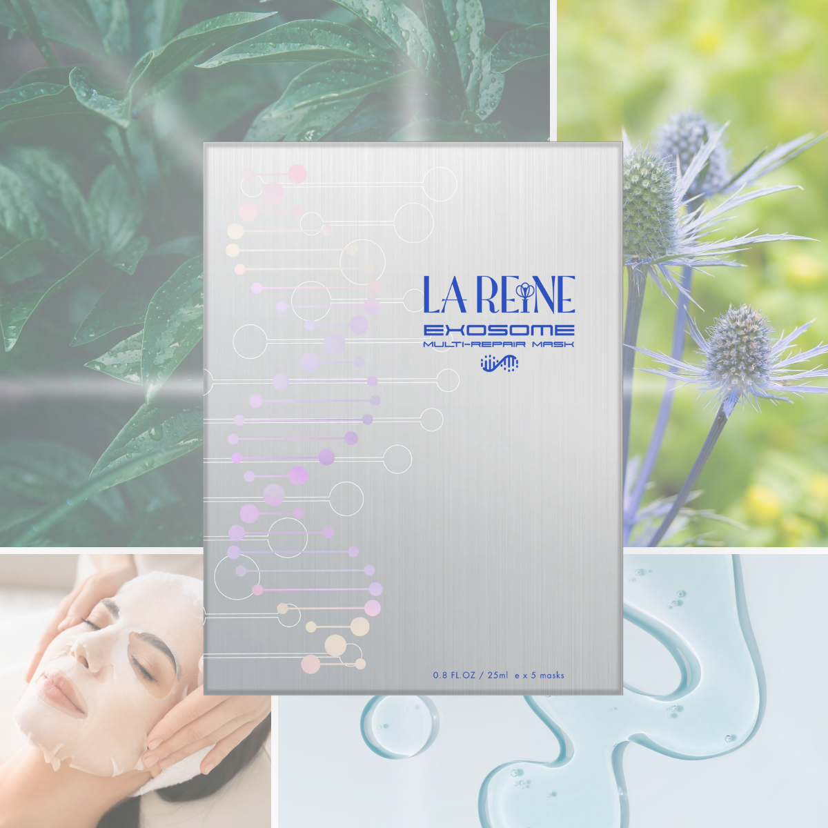 LA REINE Exosome Multi-Repair Mask (5pcs)